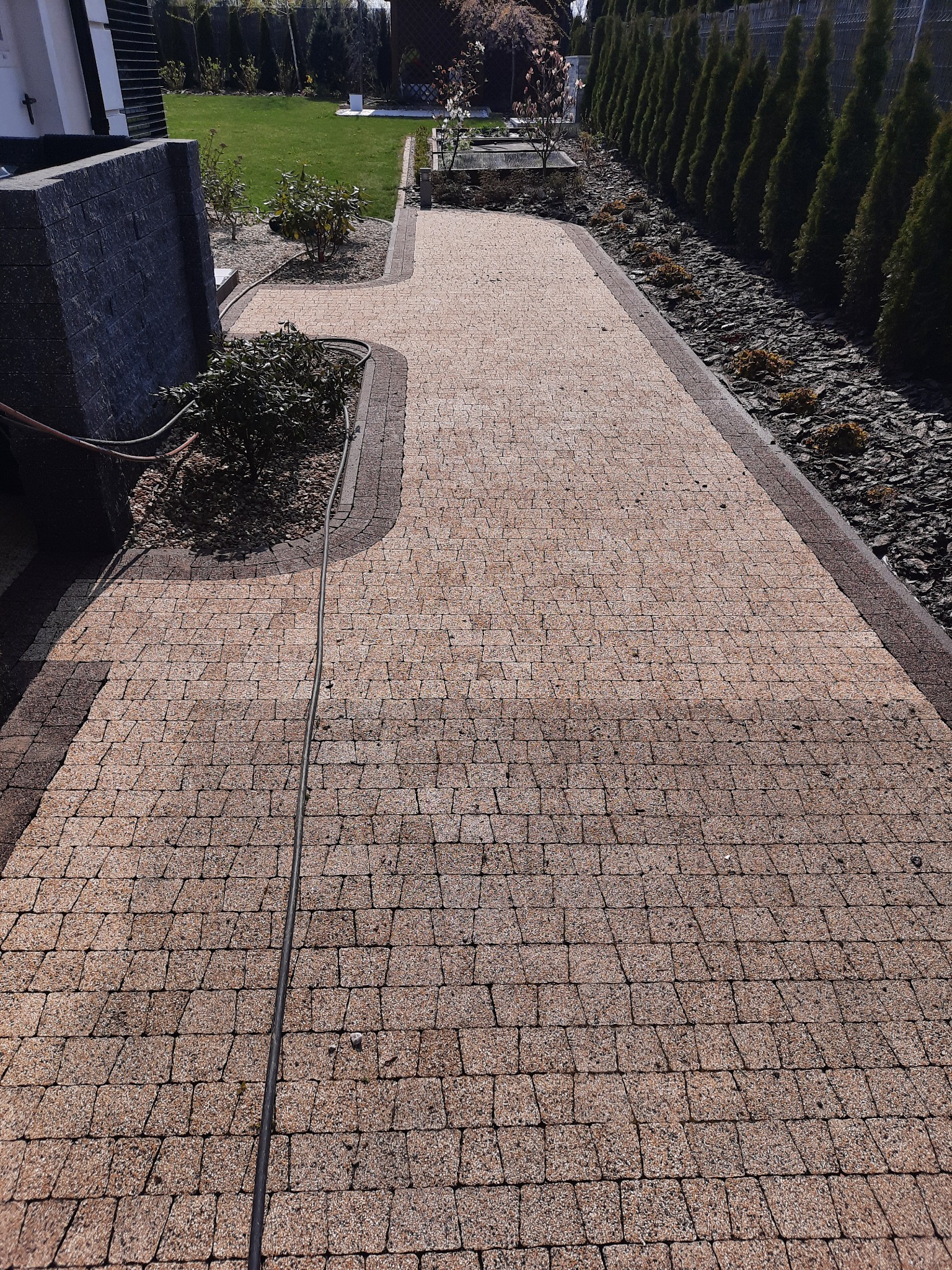 Długa, zakrzywiona ścieżka z kostki brukowej w odcieniach beżu i brązu, biegnąca przez zadbany ogród z trawnikiem, krzewami i rzędem wysokich tui, z widocznym wężem ogrodowym leżącym na kostce.