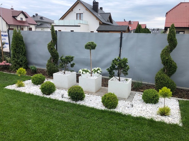 Ogród przydomowy z dekoracyjnymi krzewami kulistymi i roślinami w białych, kwadratowych donicach, wysypany białym grysem na tle szarego ogrodzenia panelowego.
