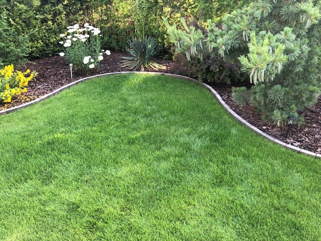 Starannie utrzymany trawnik z równo przyciętą trawą, obrzeżem z kostki i ozdobnymi nasadzeniami roślin w tle.