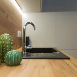 Nowoczesna kuchnia w Łodzi: drewniany blat z czarnym zlewem i chromowaną baterią, dopełniona dekoracyjnymi ceramicznymi kaktusami w odcieniach zieleni.
