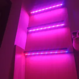 Trzy półki oświetlone fioletowymi paskami LED w pomieszczeniu, tworzące nowoczesny, klimatyczny efekt wizualny.