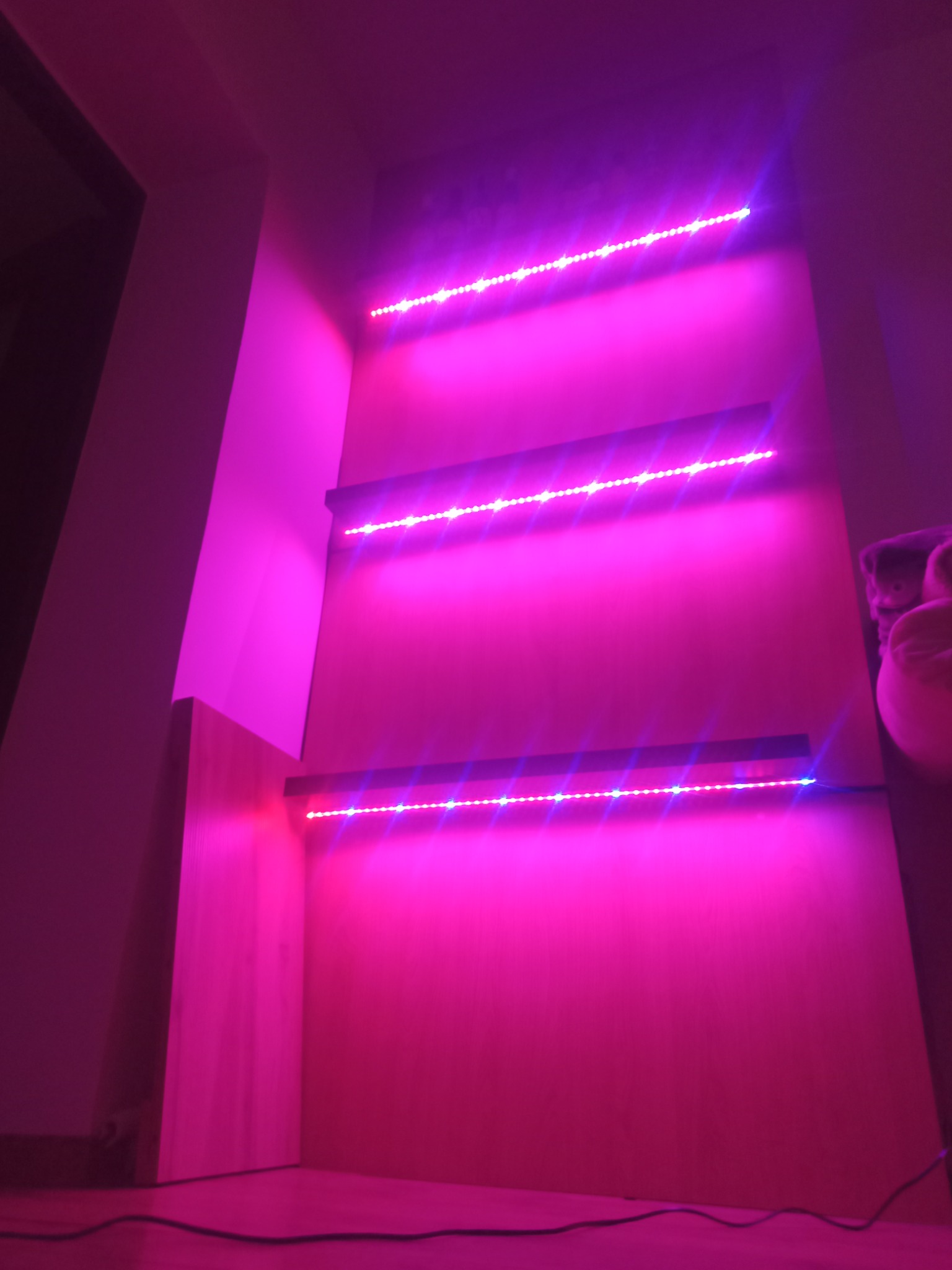 Trzy półki oświetlone fioletowymi paskami LED w pomieszczeniu, tworzące nowoczesny, klimatyczny efekt wizualny.