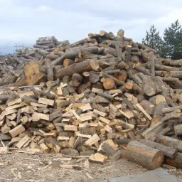 Stos pociętego drewna kominkowego różnej wielkości, ułożonego na ziemi z widocznymi trocinami i korą, w tle drzewa i pochmurne niebo.