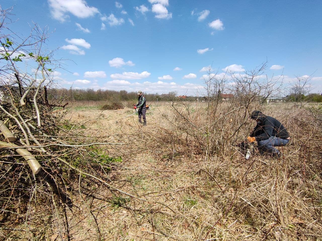 Dwóch mężczyzn usuwa zarośla na zewnątrz: jeden pracuje w kucki, drugi używa wykaszarki spalinowej na tle niebieskiego nieba z chmurami.