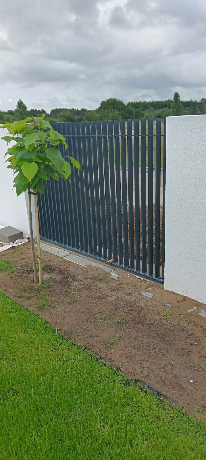 Nowoczesne pionowe ogrodzenie z metalowych paneli w kolorze grafitowym, przylegające do białego, otynkowanego słupka; obok posadzone młode drzewko katalpa w trawie.