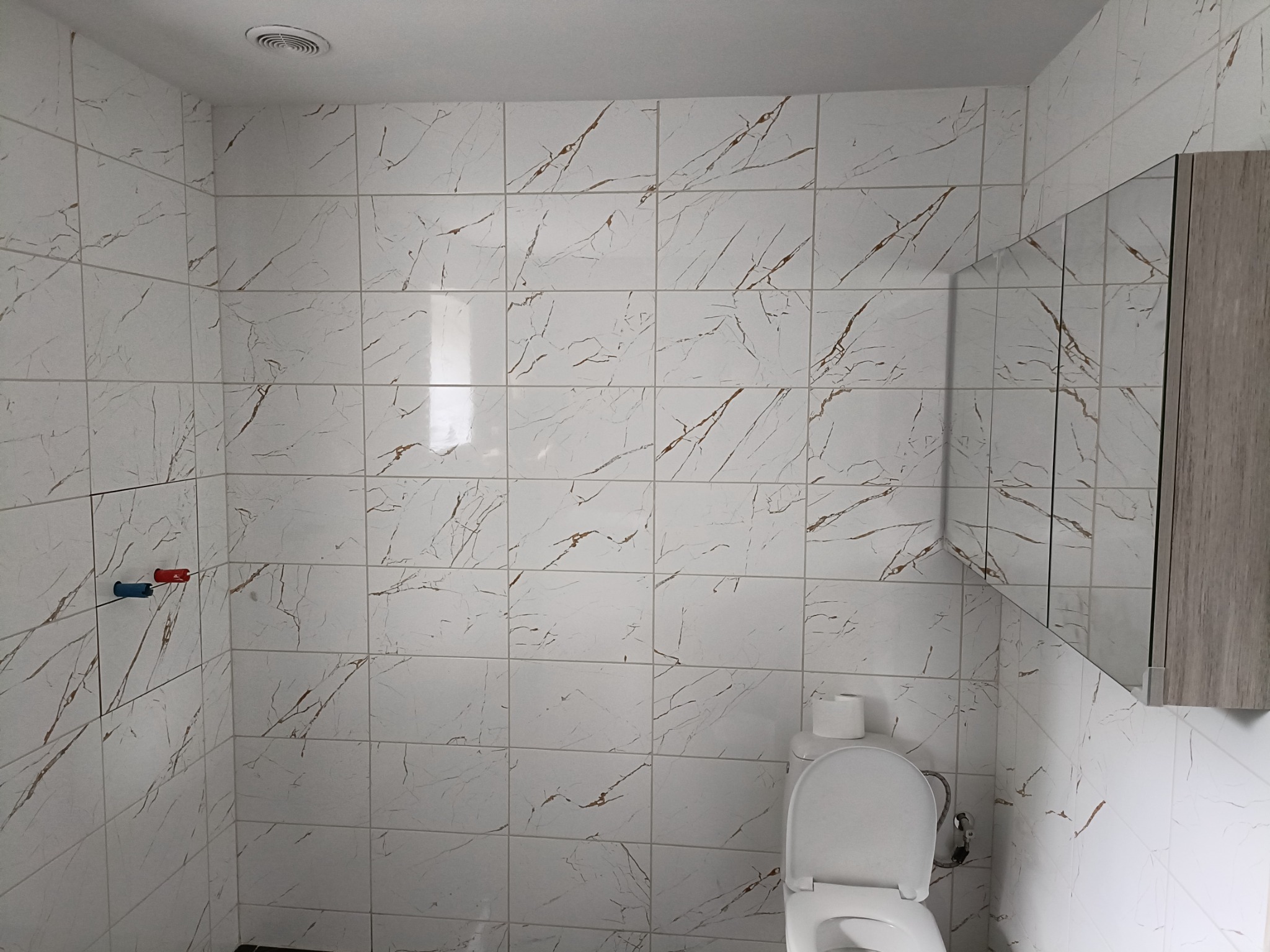 Wykończona łazienka z białymi płytkami imitującymi marmur, wisząca szafka z lustrem, toaleta z podajnikiem na papier toaletowy oraz wystające rury do baterii.