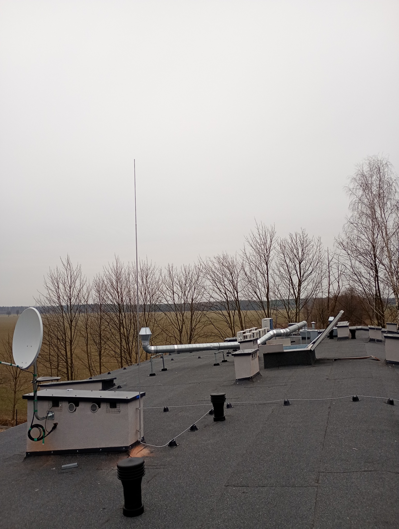 Instalacja odgromowa z pojedynczym masztem na dachu pokrytym papą, widoczna antena satelitarna, wentylacja, kominki wentylacyjne i rury wentylacyjne na tle drzew bez liści i pochmurnego nieba.