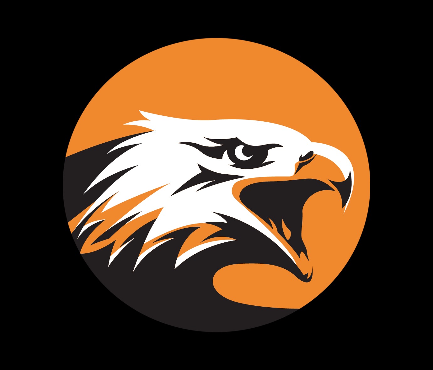 Stylizowana głowa orła w kolorach pomarańczowym, białym i czarnym na czarnym tle.