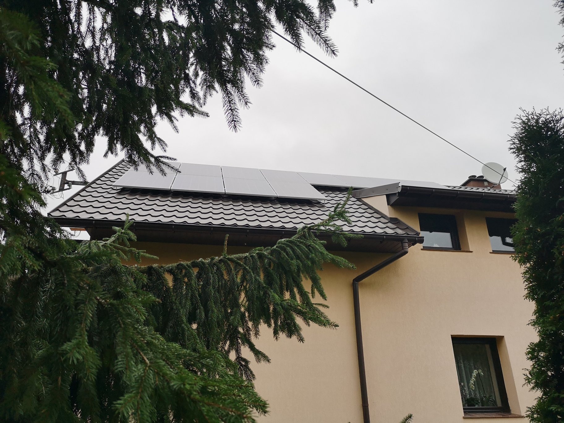 Panele słoneczne na brązowym dachu domu jednorodzinnego, widoczne spod gałęzi drzew iglastych w pochmurny dzień.