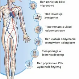 Ilustracja ludzkiego ciała z zaznaczonym układem krwionośnym i opisem korzyści tlenoterapii, takich jak zapobieganie starzeniu się komórek, zmniejszenie bólu migrenowego, likwidacja zmęczenia...