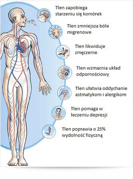 Ilustracja ludzkiego ciała z zaznaczonym układem krwionośnym i opisem korzyści tlenoterapii, takich jak zapobieganie starzeniu się komórek, zmniejszenie bólu migrenowego, likwidacja zmęczenia...