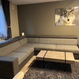 EstetiClean Małgorzata Kufta - Szary narożnik z funkcją spania, stolik kawowy z blatem imitującym beton i puszysty dywan w salonie z obrazem wilka.