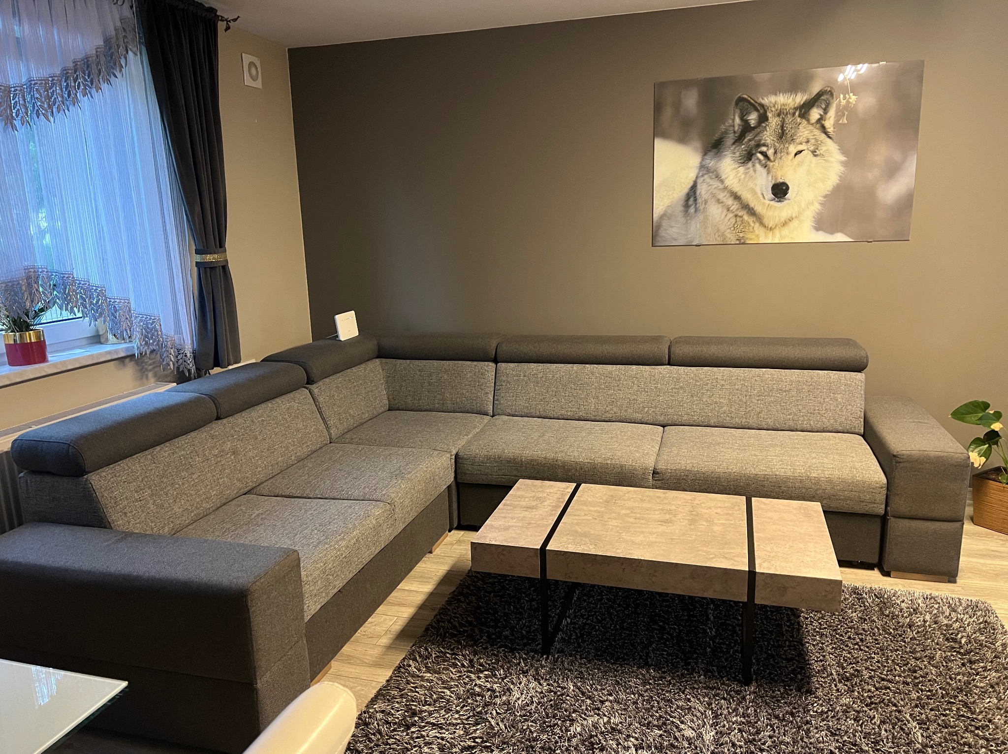 Szary narożnik z funkcją spania, stolik kawowy z blatem imitującym beton i puszysty dywan w salonie z obrazem wilka.