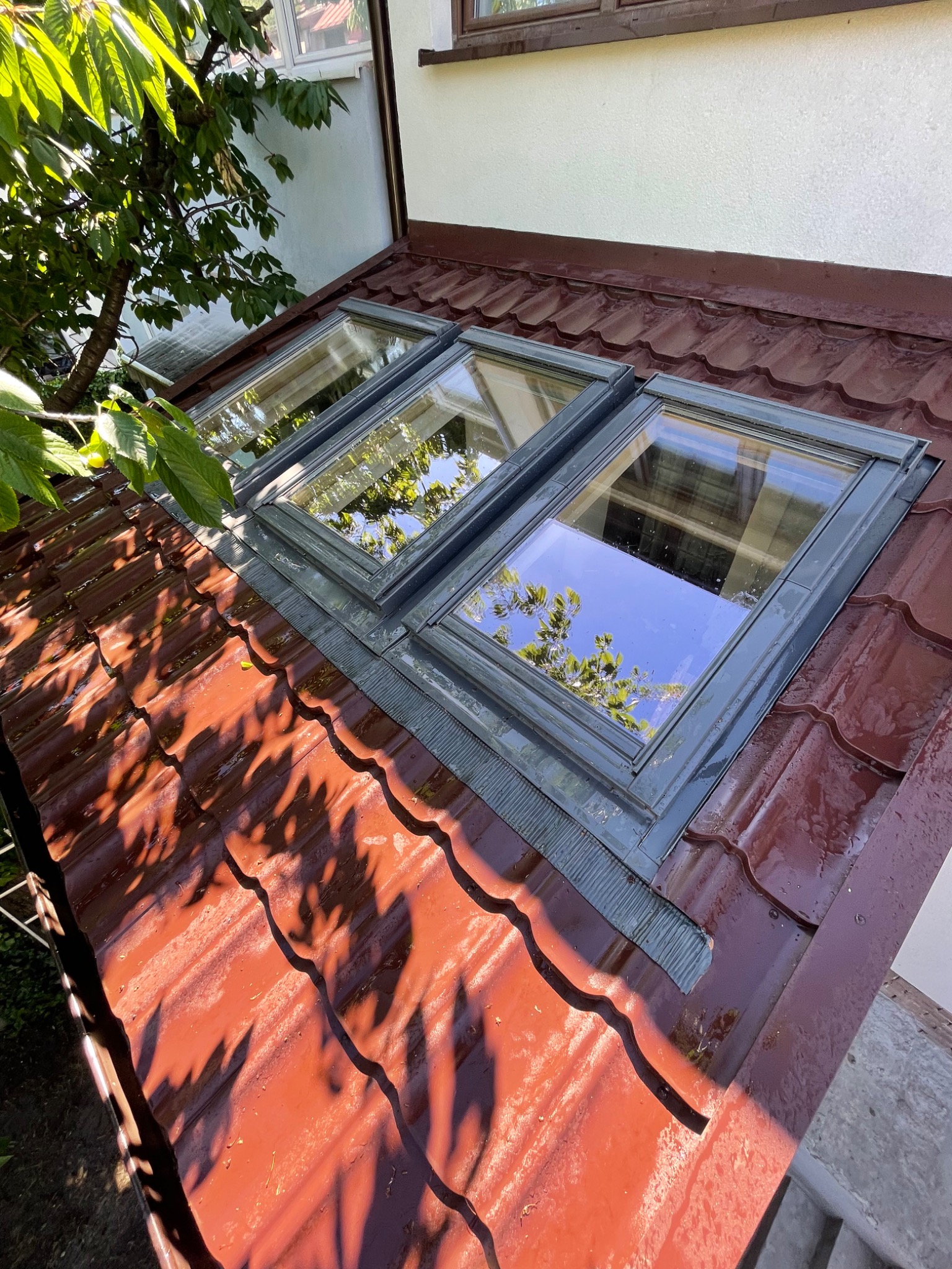 Trzy okna dachowe w ciemnych ramach osadzone w czerwonej dachówce, odbijające korony drzew i błękitne niebo.