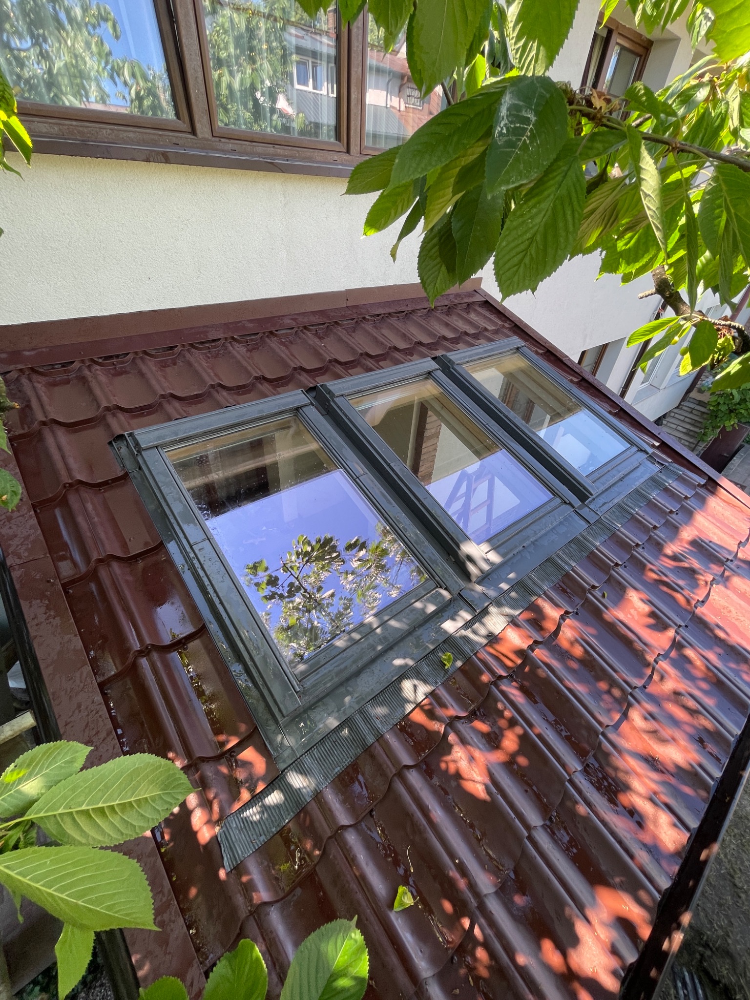 Brązowy dach z dachówki ceramicznej z trzema oknami dachowymi, odbicie drzew w szybach, widok z dołu, częściowo przysłonięty liśćmi.