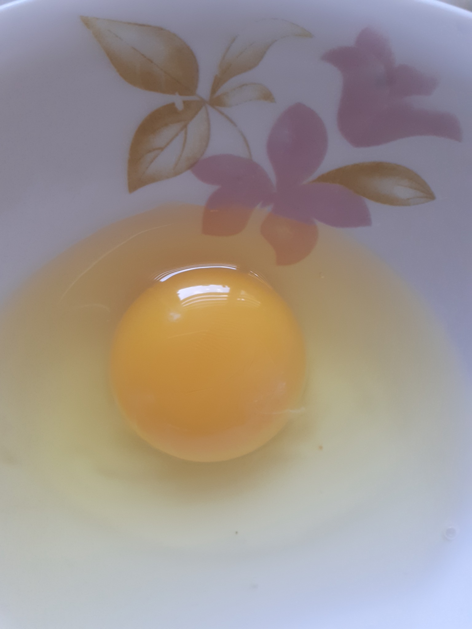 Surowe żółtko jaja w białej miseczce z motywem kwiatowym.