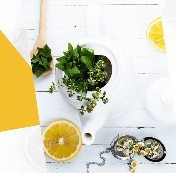 Kompozycja z białego dzbanka z ziołami (mięta, tymianek), łyżki z miętą, plasterków cytryny i zaparzacza do herbaty z rumiankiem na białym drewnianym tle.