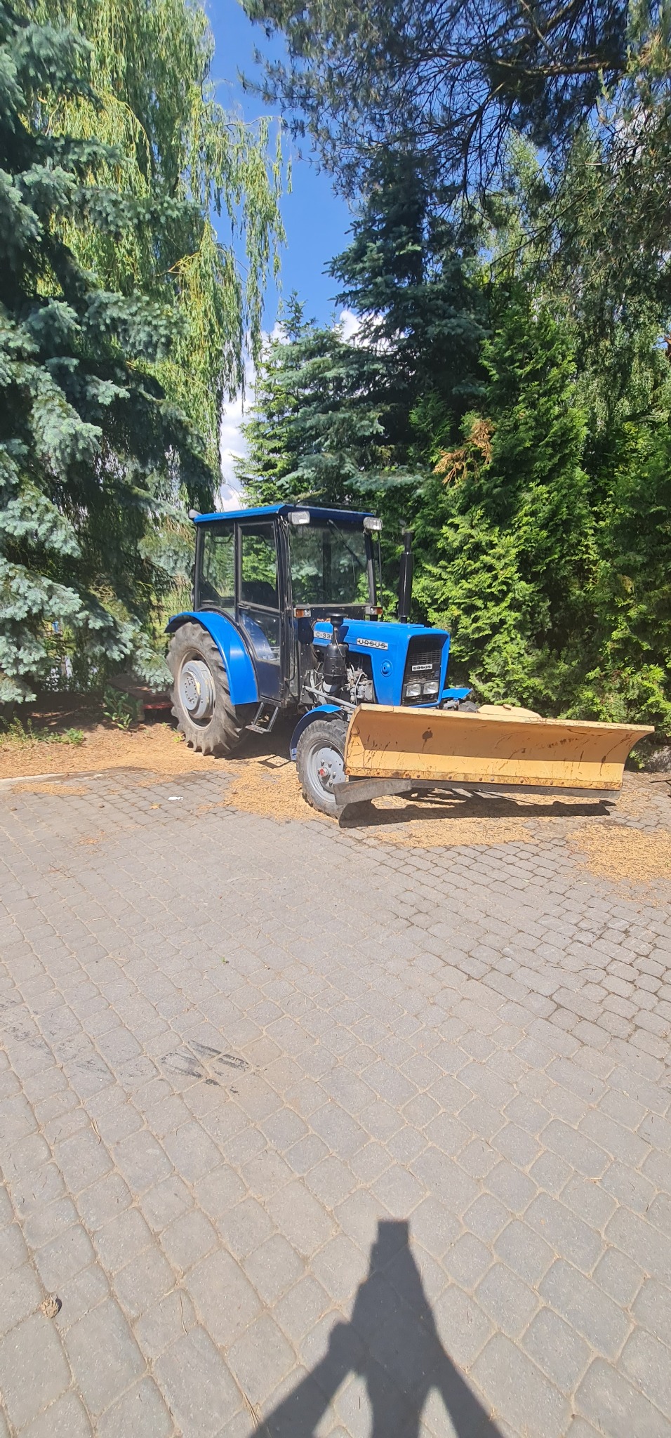 Niebieski traktor Ursus z żółtym pługiem stoi na brukowanej nawierzchni, otoczony zielonymi drzewami iglastymi i śladami po ściętej trawie.
