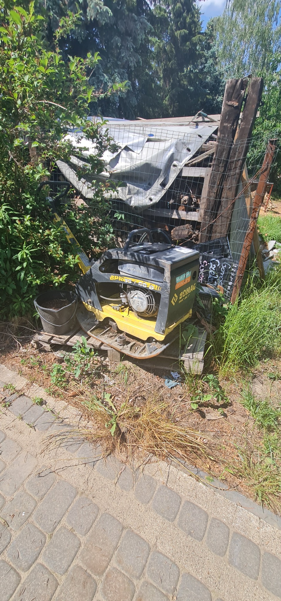 Żółto-czarna zagęszczarka gruntu marki Bomag, stojąca na palecie w otoczeniu zieleni, z widocznym silnikiem Hatz Diesel i elementami konstrukcyjnymi w tle.