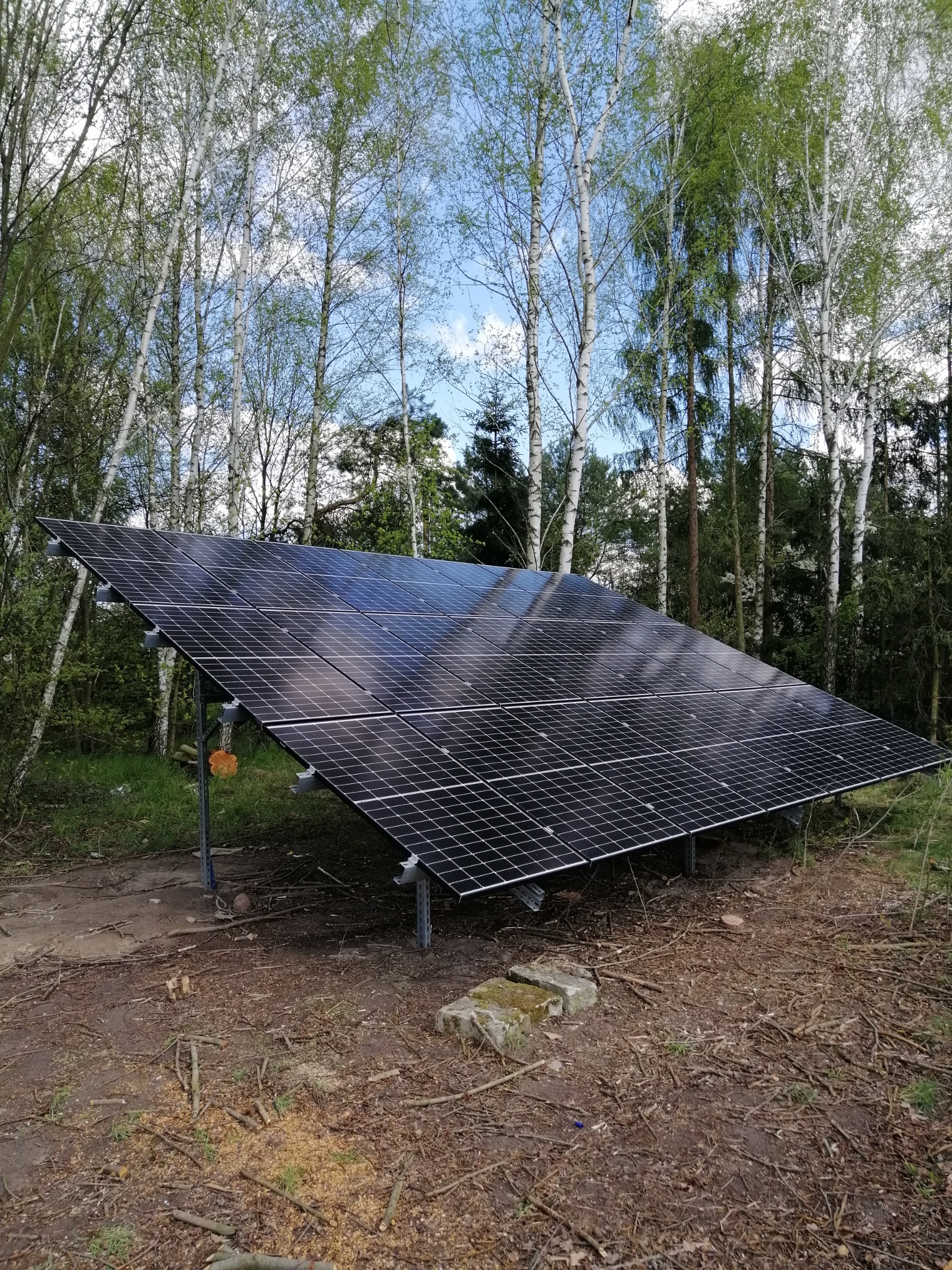 Instalacja paneli słonecznych w lesie brzozowym, widoczne panele na metalowej konstrukcji, ziemia pokryta gałęziami.
