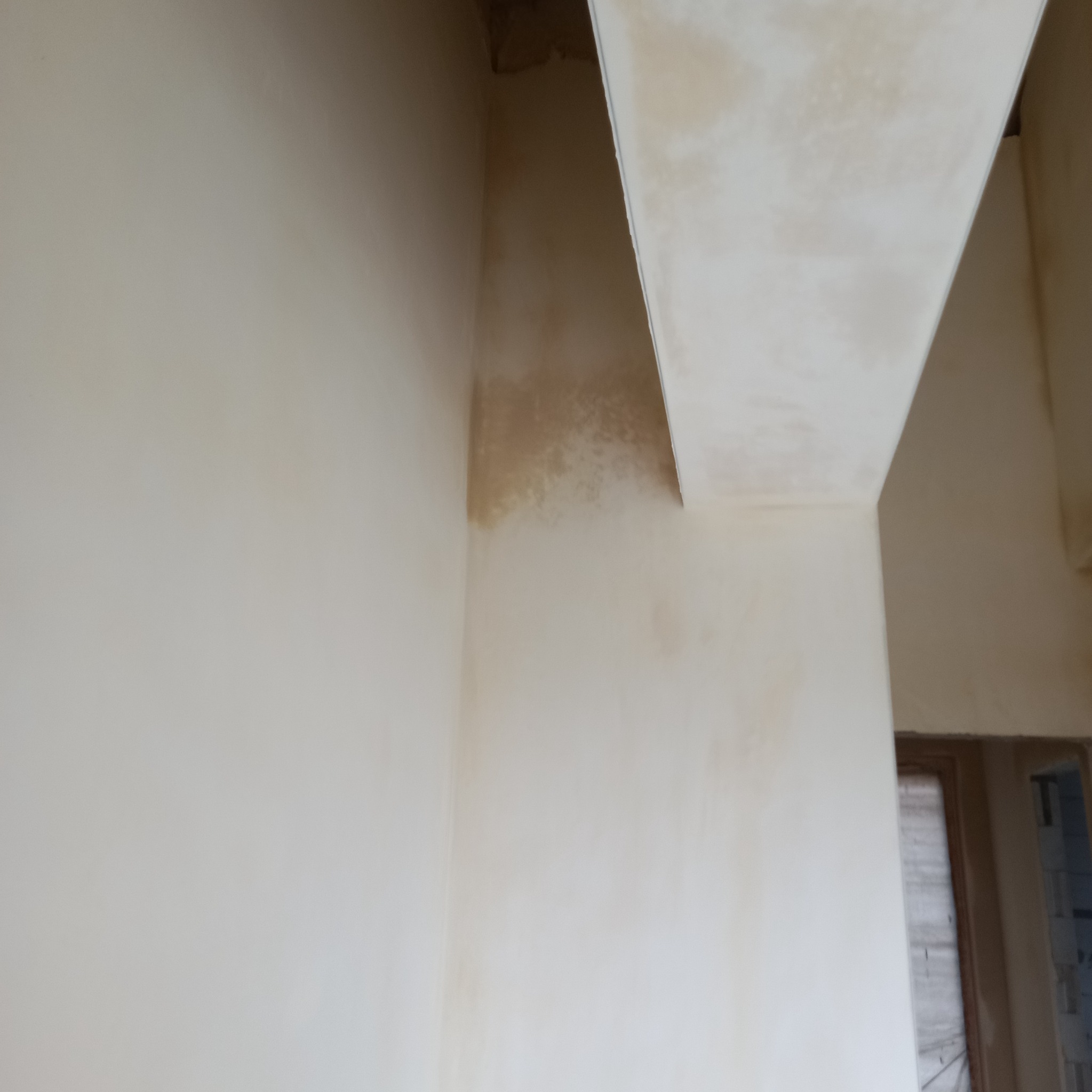 Świeżo nałożona, jasna warstwa tynku na ścianie wewnętrznej, widoczne nierówności i zacieki, surowy stan wykończenia, fragment otworu drzwiowego w tle.