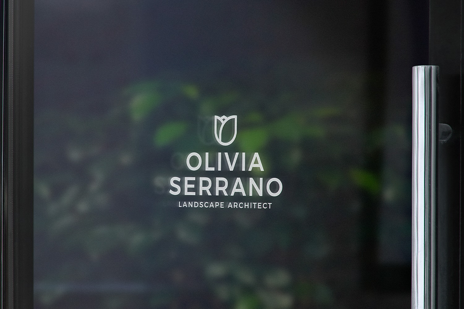 Matowa szyba z naniesionym białym logo i nazwą firmy Olivia Serrano Landscape Architect, widok z bliska na zieleń w tle przez szybę.
