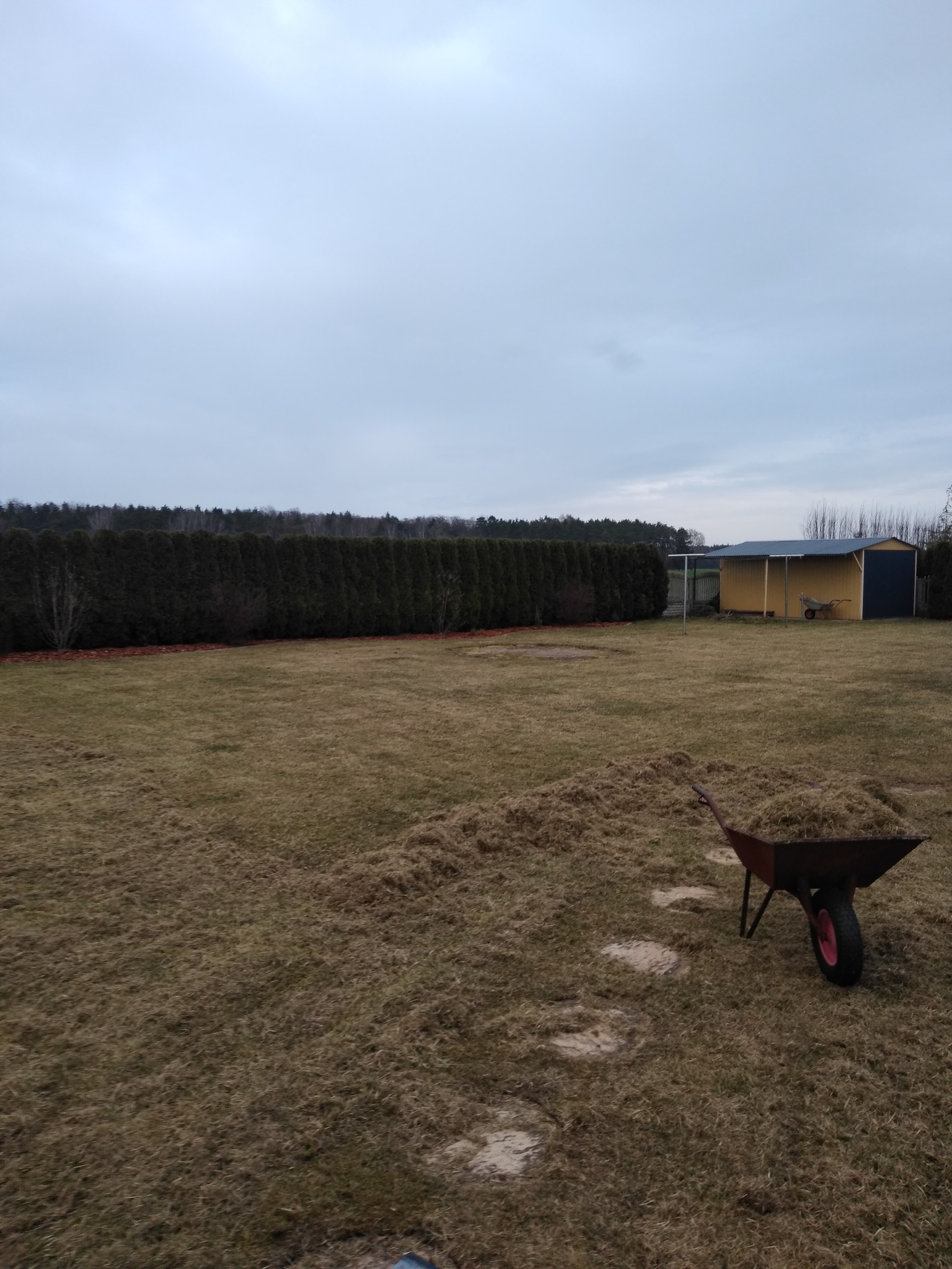 Wygrabiona trawa w wózku na tle rozległego ogrodu z brązową trawą i żywopłotem, pochmurne niebo.
