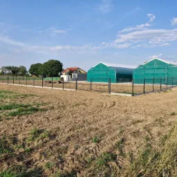 Ciemna siatka ogrodzeniowa otacza pole z dwoma zielonymi tunelami foliowymi w tle, pod błękitnym niebem z białymi chmurami.