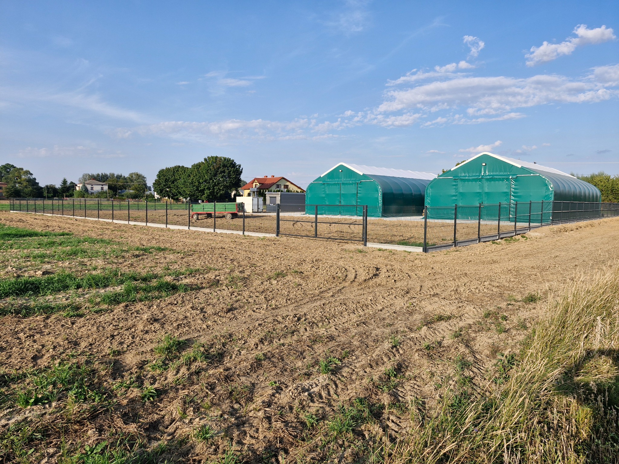 Ciemna siatka ogrodzeniowa otacza pole z dwoma zielonymi tunelami foliowymi w tle, pod błękitnym niebem z białymi chmurami.