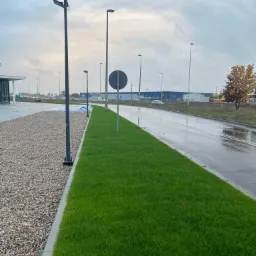Widok na świeżo założony trawnik przydrożny, z równo przyciętą trawą, graniczący z obszarem wysypanym drobnym żwirem i mokrą jezdnią w pochmurny dzień.