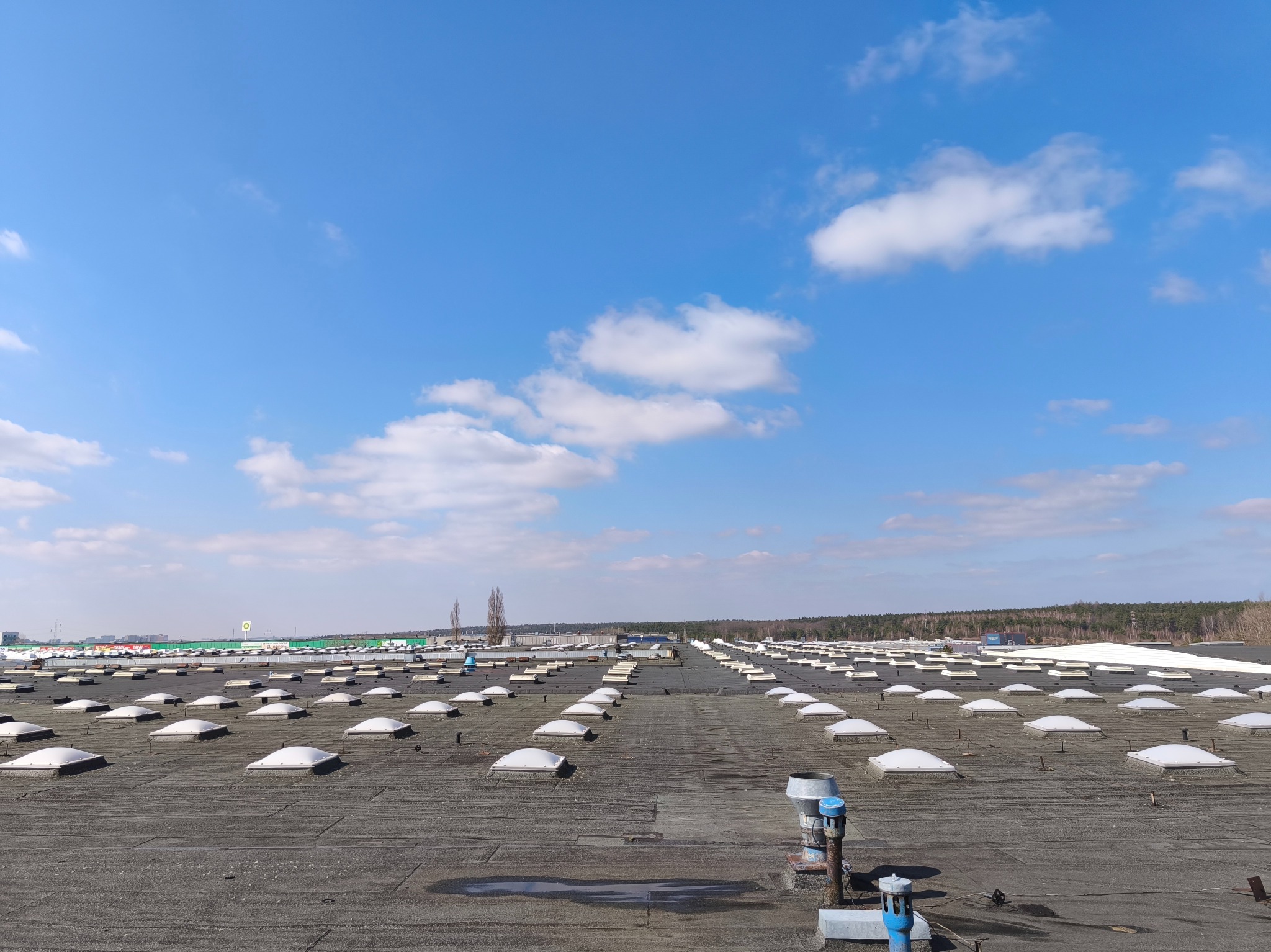 Rozległy, płaski dach budynku przemysłowego pokryty papą, z licznymi świetlikami kopułowymi. W tle widoczne drzewa i błękitne niebo z chmurami.