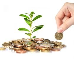 Dłoń umieszczająca monetę na stosie monet, z którego wyrasta młoda roślina na białym tle.