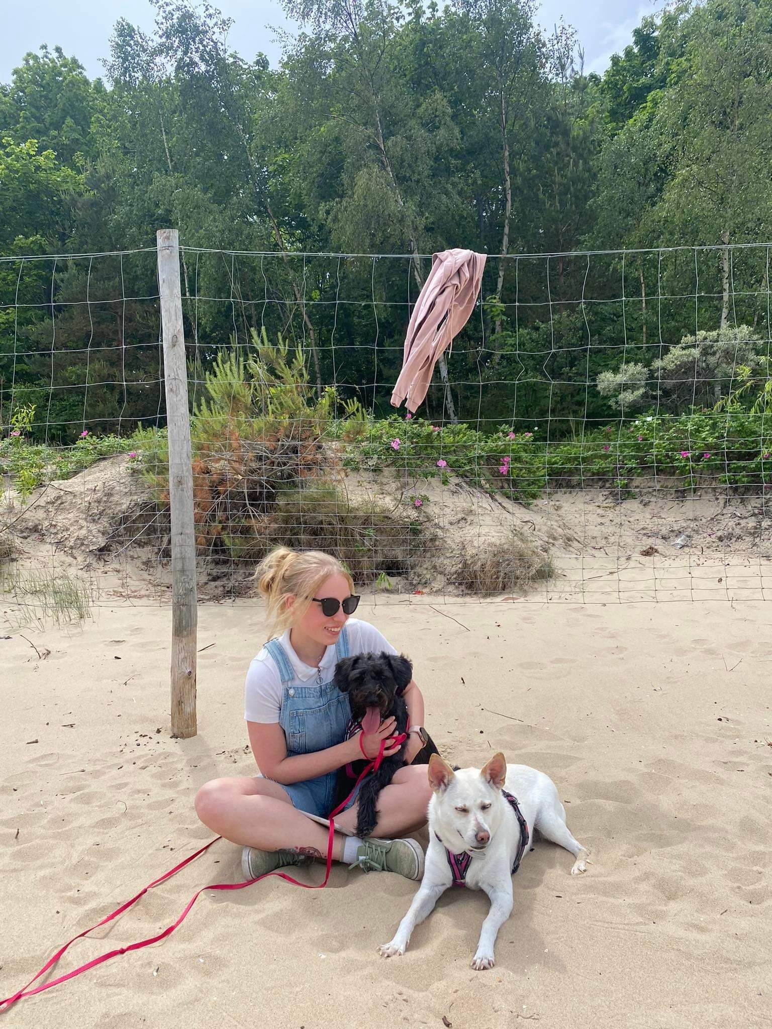 Młoda kobieta w dżinsowym kombinezonie siedzi na piasku na plaży, trzymając małego czarnego psa i obok niej leży biały pies z różową obrożą, w tle siatka i zieleń.