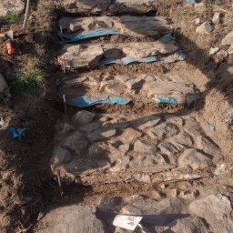 EKTA OGRÓD - Budowa kamiennych schodów w ogrodzie, widoczne narzędzia: szpachelka i nóż monterski, niebieska folia pod kamieniami.