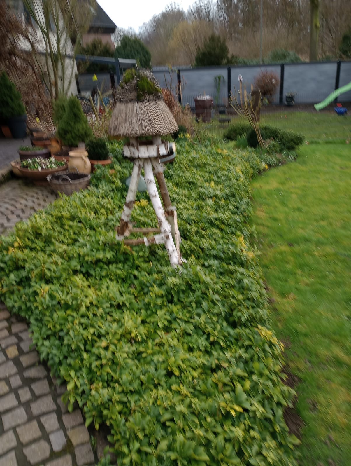 Ogród z niską, zieloną roślinnością okrywkową, drewnianą budką dla ptaków z daszkiem ze słomy, kamienną ścieżką i trawnikiem w tle.