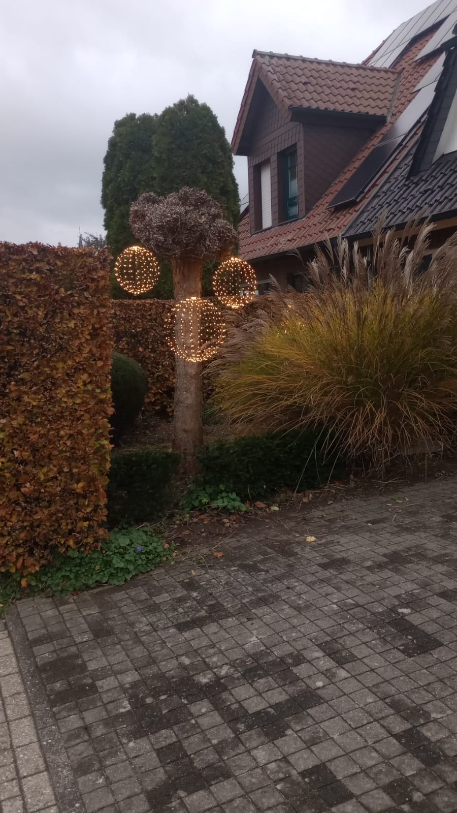 Ozdobiony drzewo w ogrodzie z trzema świecącymi kulami, obok żywopłot z brązowymi liśćmi i trawa pampasowa, w tle dom z panelami słonecznymi.