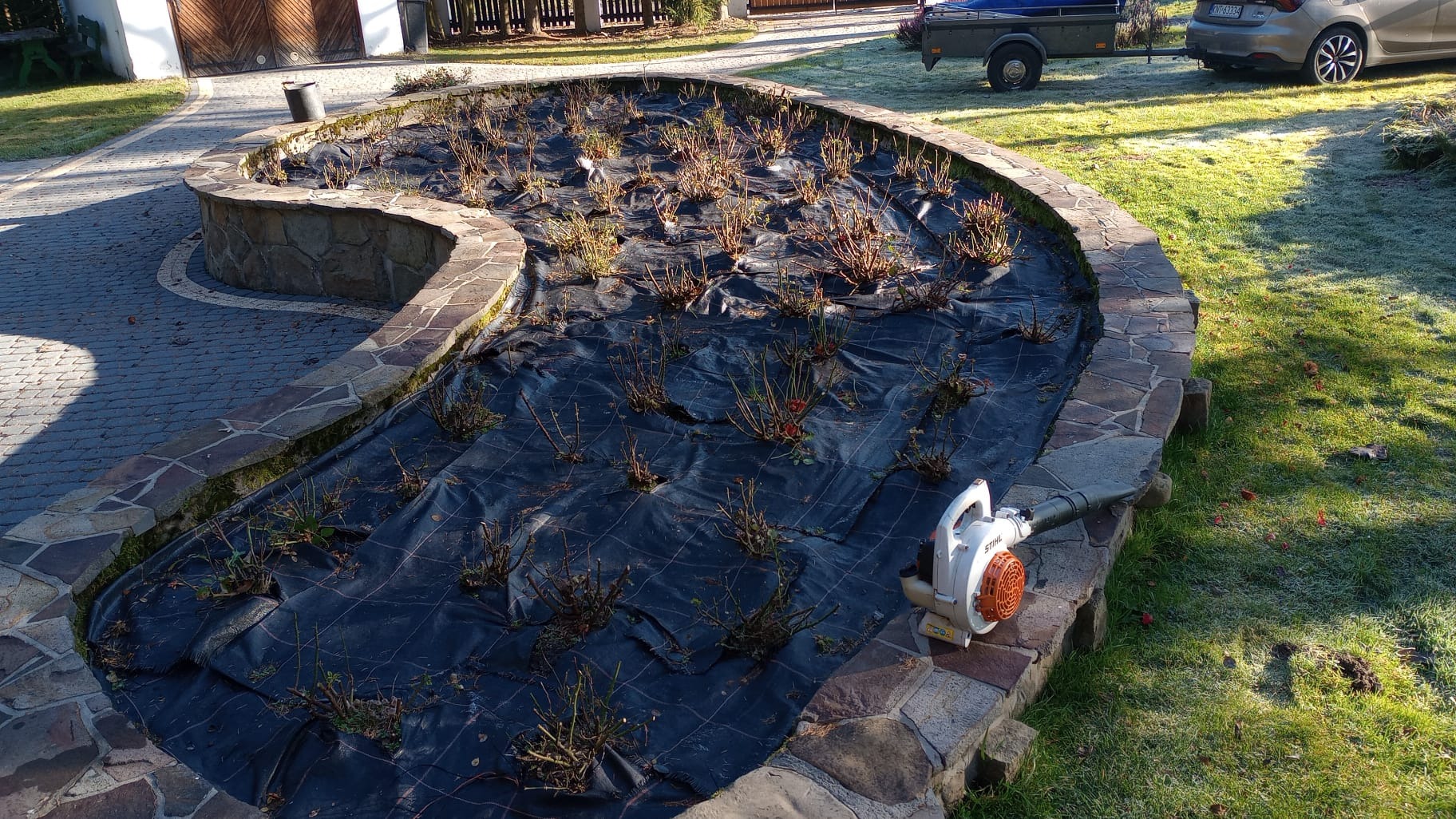 Przygotowany klomb z agrowłókniną i przyciętymi krzewami, dmuchawa spalinowa STIHL leży na kamiennym obrzeżu, trawnik pokryty szronem w tle.
