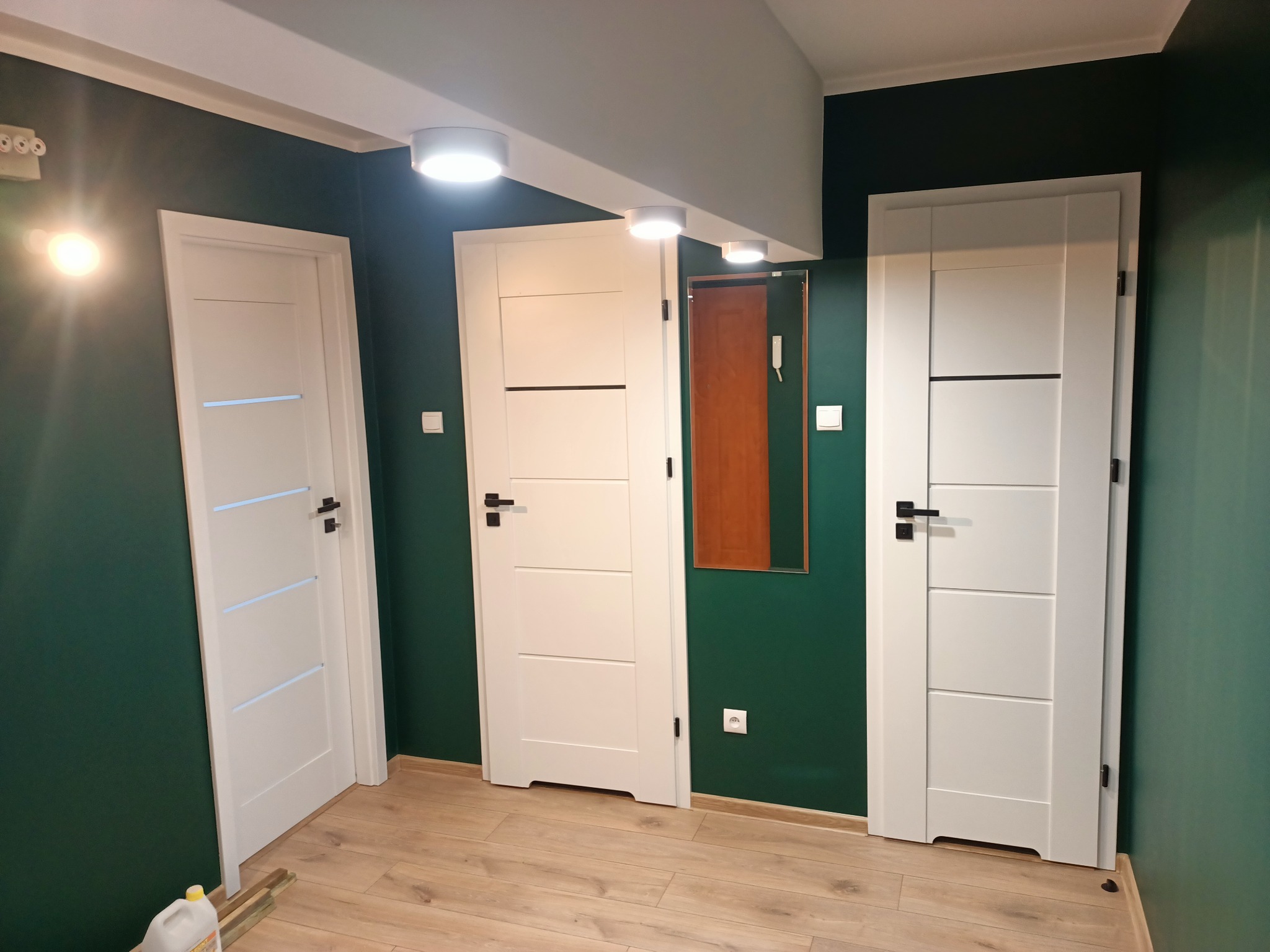 Trzy białe, nowoczesne drzwi wewnętrzne z czarnymi klamkami na tle ściany pomalowanej na ciemny odcień zieleni. Widoczne listwy przypodłogowe i panele podłogowe imitujące drewno. Nad drzwiami...