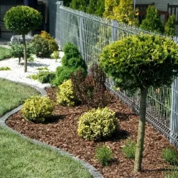 Dekoracyjny ogród z kulistymi tujami, korą drzewną i białym żwirem, oddzielony od trawnika obrzeżem z kostki, z metalową siatką ogrodzeniową w tle.