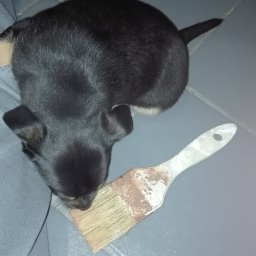 ubm-bud - Zabudowa Płytami GK Warszawa