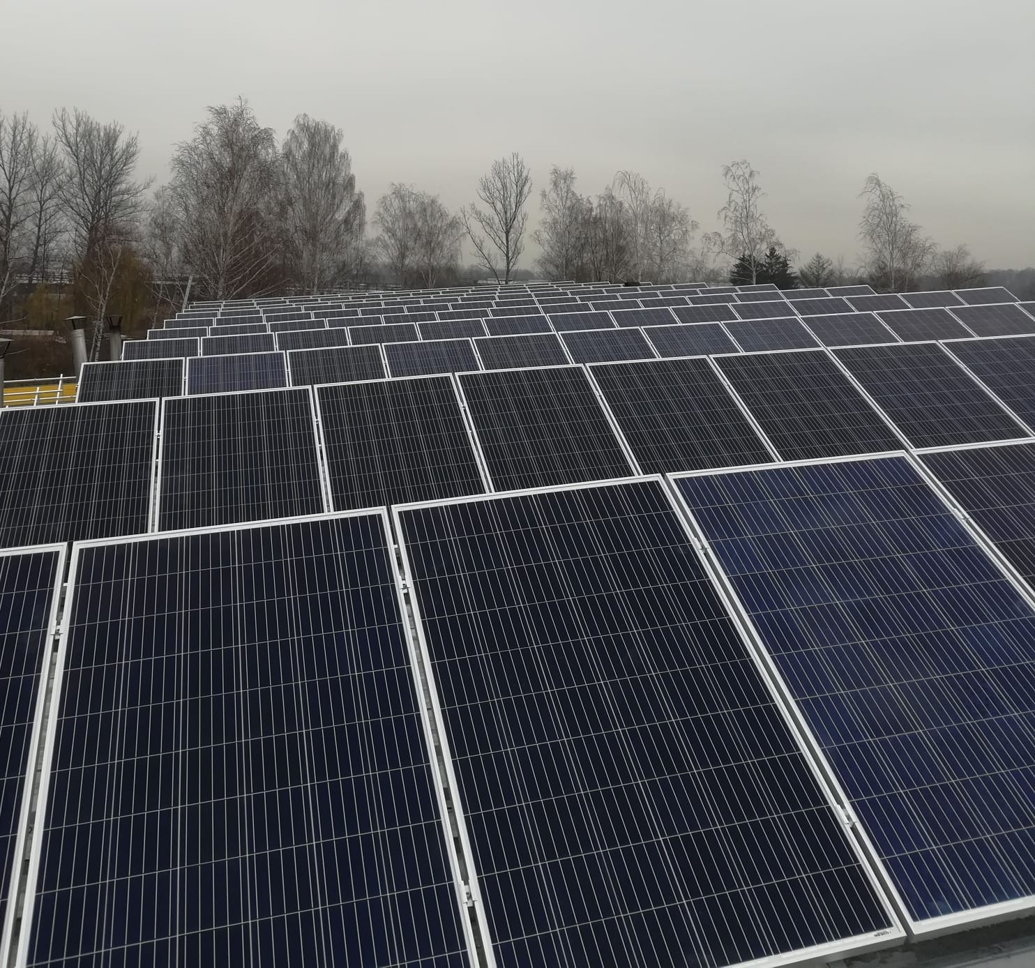 Rząd paneli słonecznych na dachu budynku w pochmurny dzień, z widocznymi drzewami w tle.