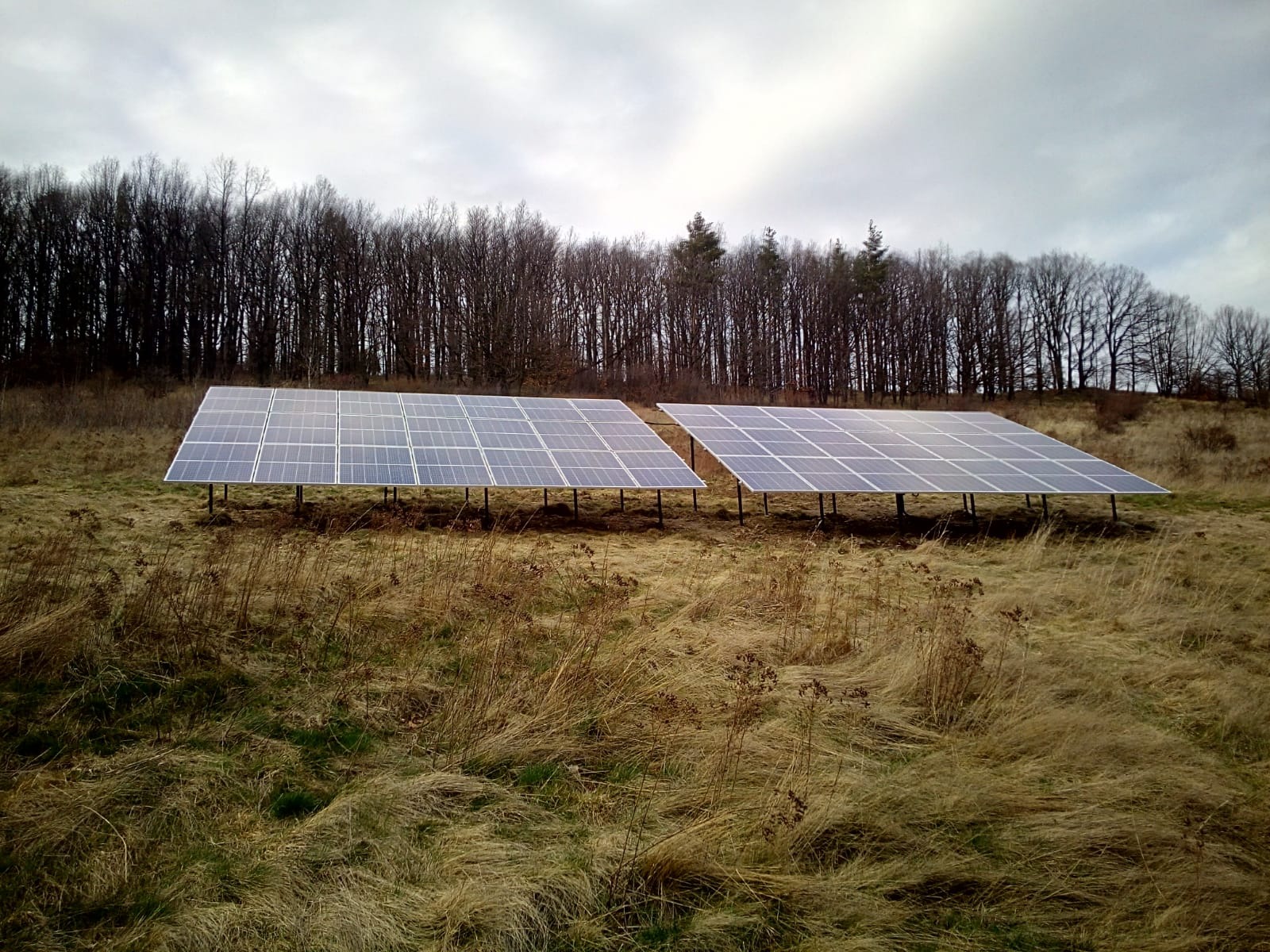 Dwa rzędy paneli słonecznych na metalowych konstrukcjach, zainstalowane na polu z suchą trawą, z drzewami w tle pod pochmurnym niebem.