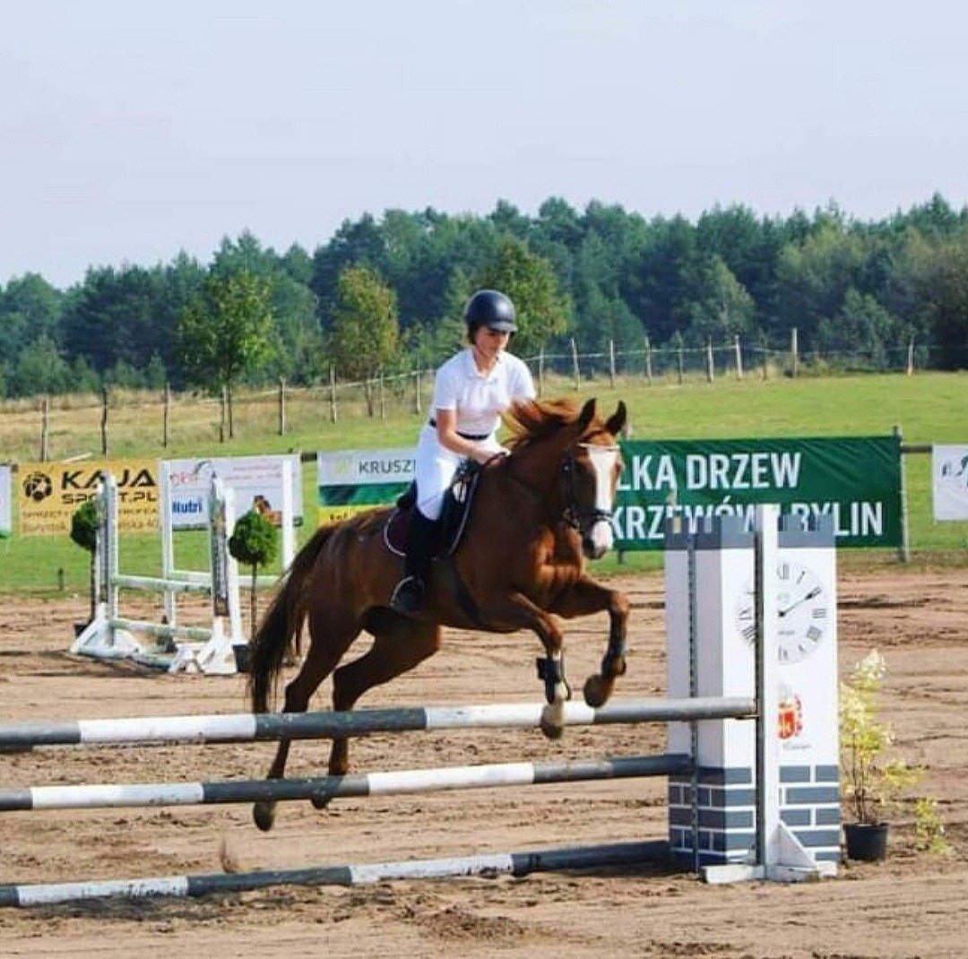 Jeździec na brązowym koniu skacze przez przeszkodę na zawodach jeździeckich, w tle banery reklamowe i drzewa.