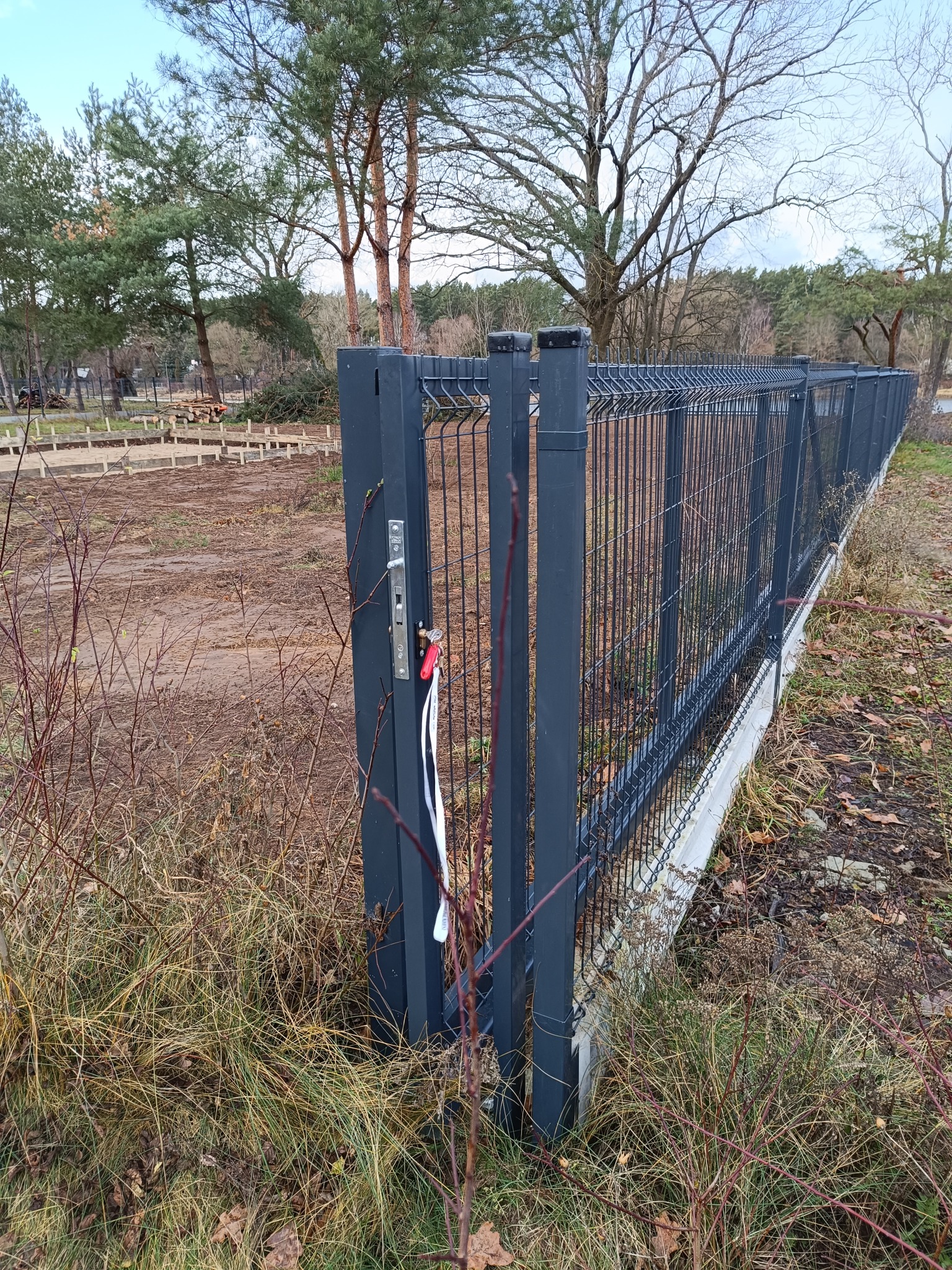 Nowoczesne, grafitowe ogrodzenie panelowe z furtką, widoczne wczesną wiosną na tle leśnym. Furtka z zamkiem i biało-czerwonymi wstążkami. W tle przygotowany teren pod budowę.