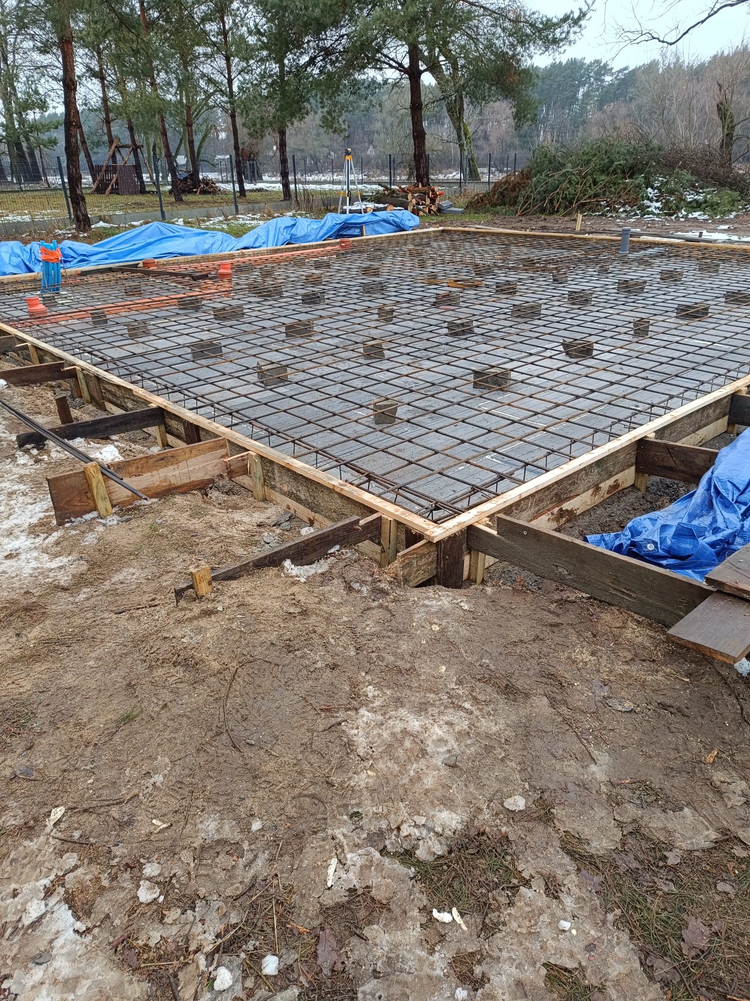 Przygotowanie zbrojenia fundamentów pod budowę domu, widoczna siatka z prętów stalowych na drewnianym szalunku, w tle drzewa i resztki śniegu.