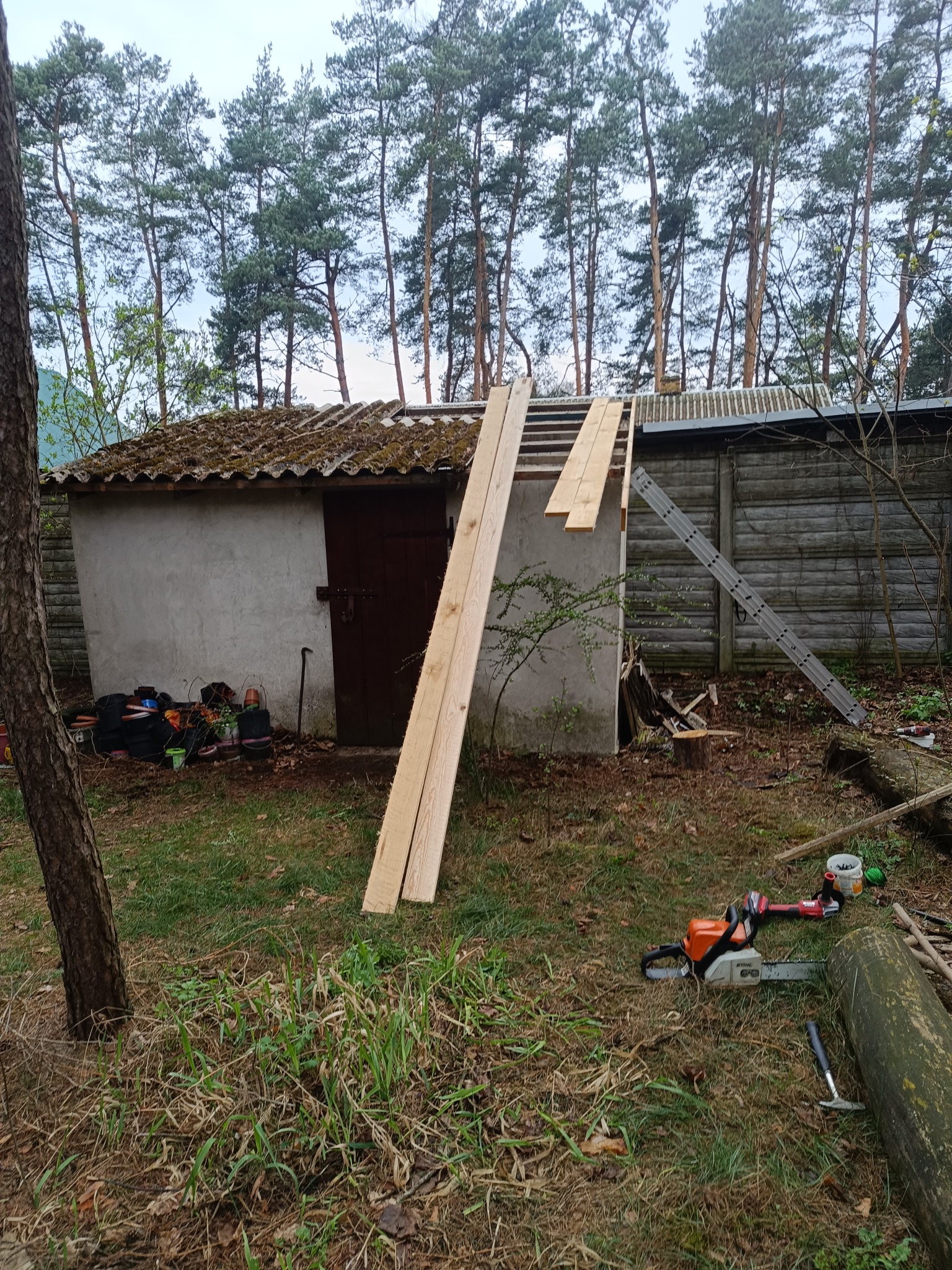 Przygotowanie do naprawy dachu małego budynku gospodarczego. Dwie deski oparte o dach, piła łańcuchowa na ziemi. W tle las iglasty, drabina oparta o płot.