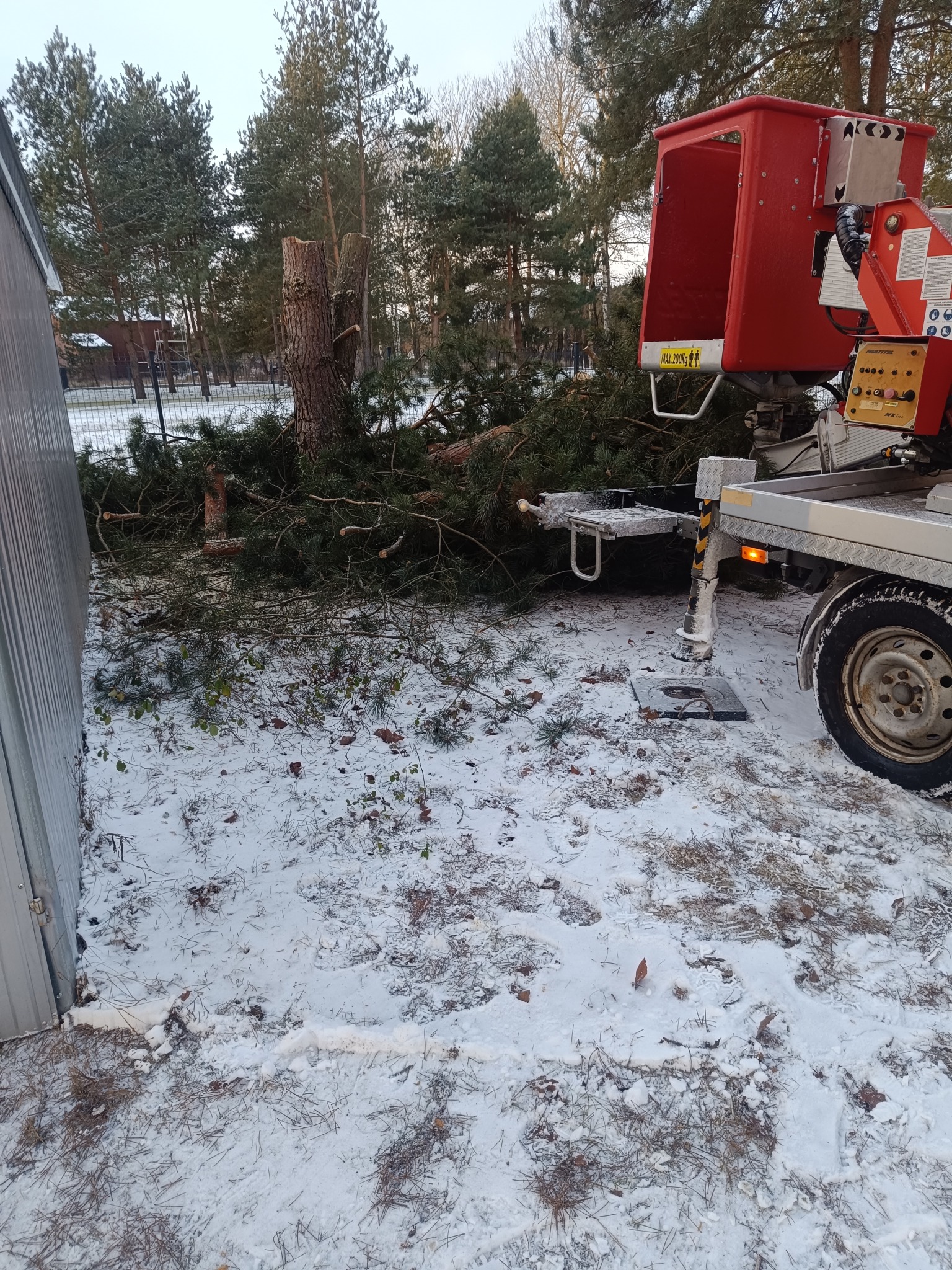 Ścięte drzewo w zimowej scenerii, widoczne gałęzie i pień. Podnośnik koszowy obok pnia. Śnieg pokrywa ziemię, w tle las iglasty.