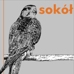 Sokół - Dostawca Pelletu Kleosin