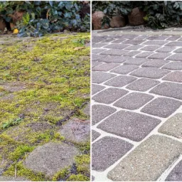 Porównanie stanu kostki brukowej przed i po czyszczeniu: zarośnięta mchem po lewej, czysta i odnowiona po prawej. Widoczne różnice w kolorze i strukturze nawierzchni.