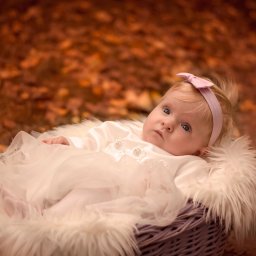 Foto Artist Fotografia Monika Jachowicz - Niemowlę w białej sukience i różowej opasce leży w koszu wyłożonym białym futrem, na tle jesiennych liści.